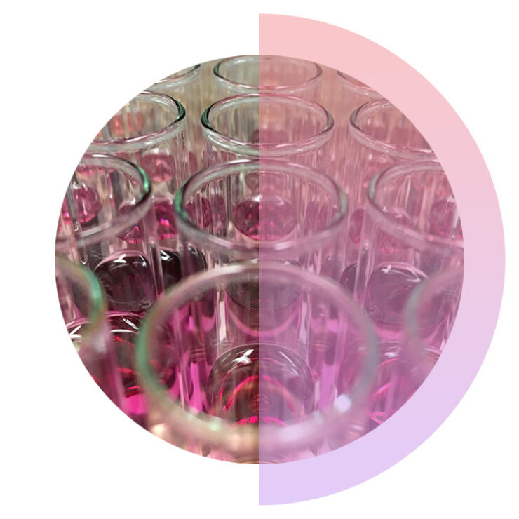 Beakers cropped into a circle.